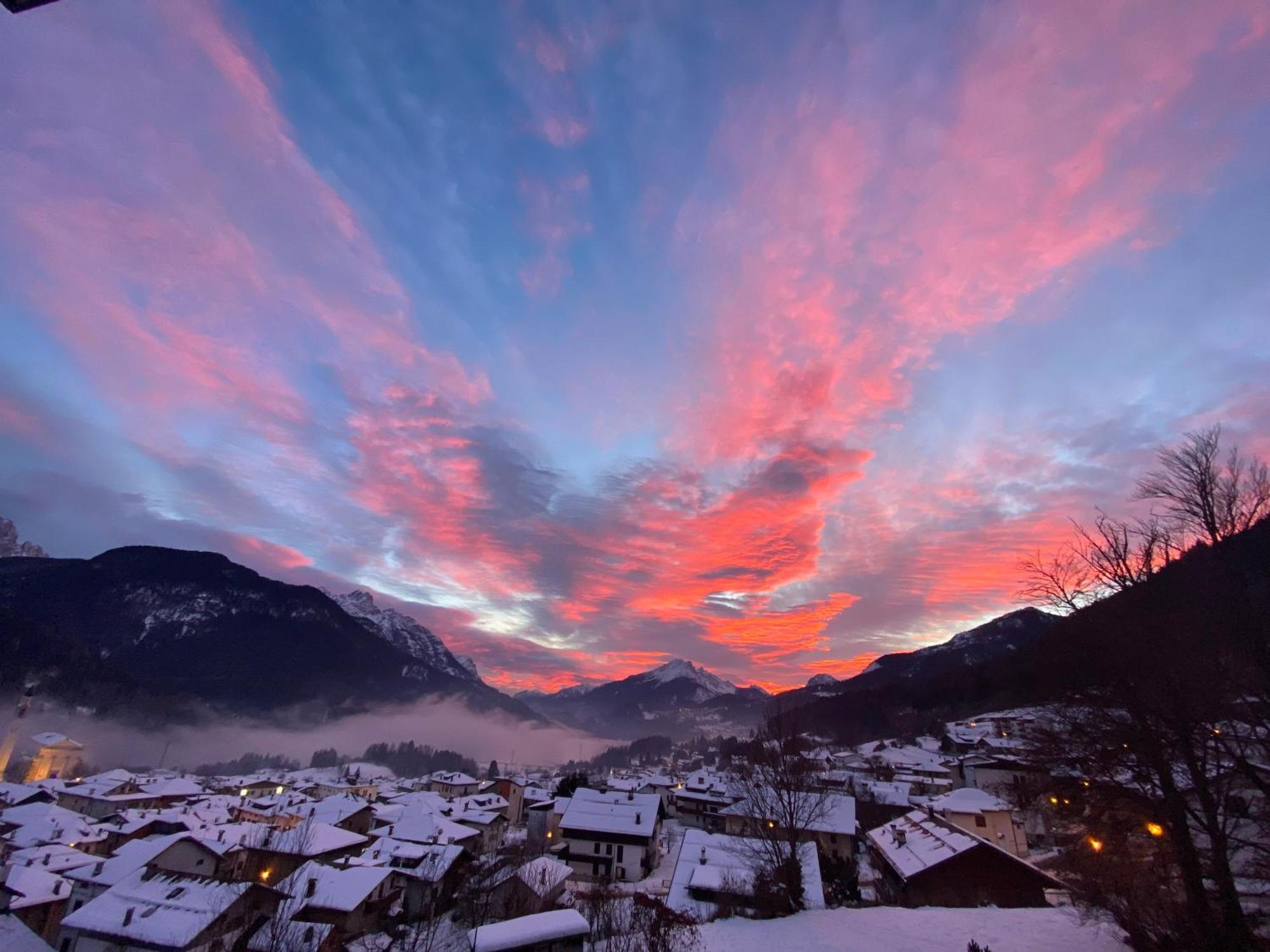 Fra Rose E Mughi Domegge di Cadore