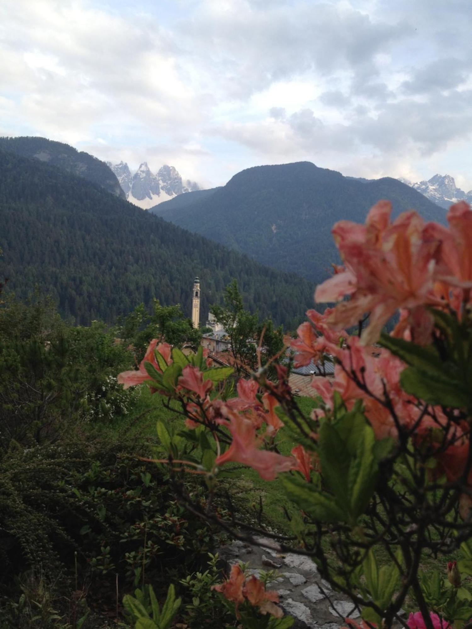 Fra Rose E Mughi Bed & Breakfast *