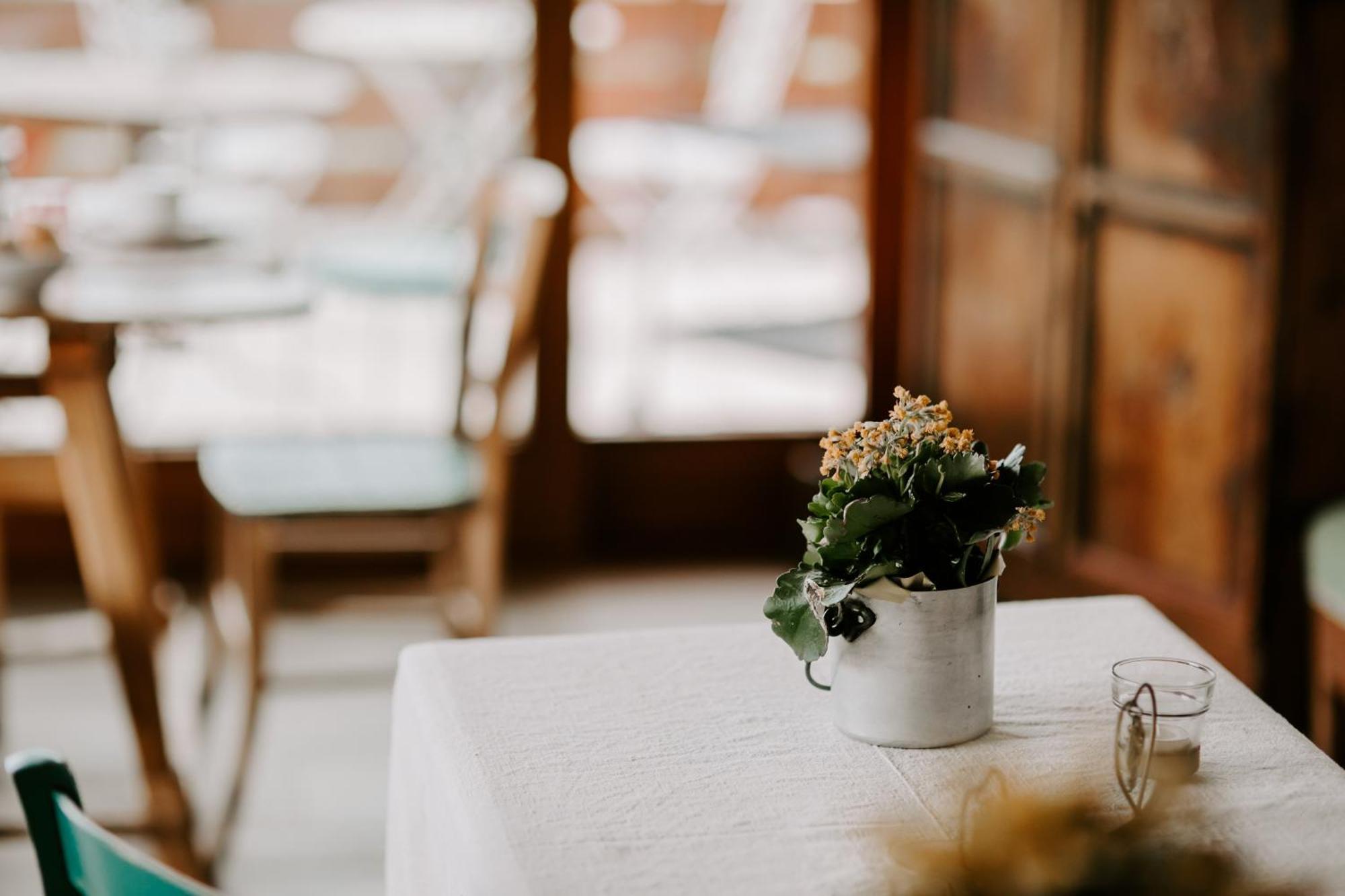 Fra Rose E Mughi Bed & Breakfast *