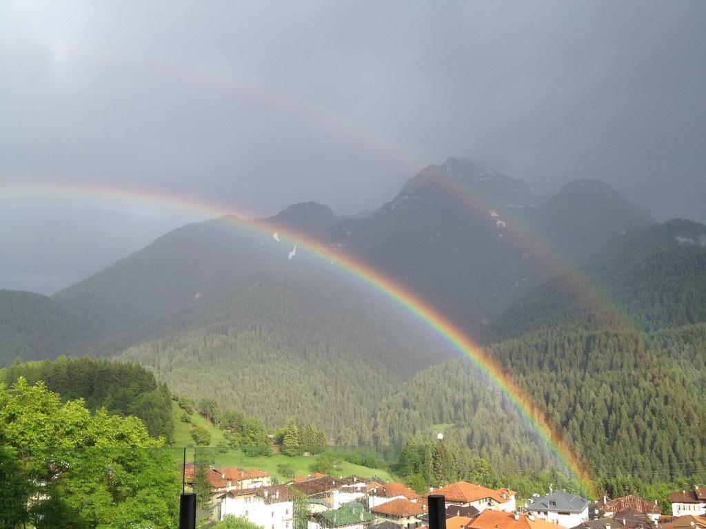 Fra Rose E Mughi * Domegge di Cadore