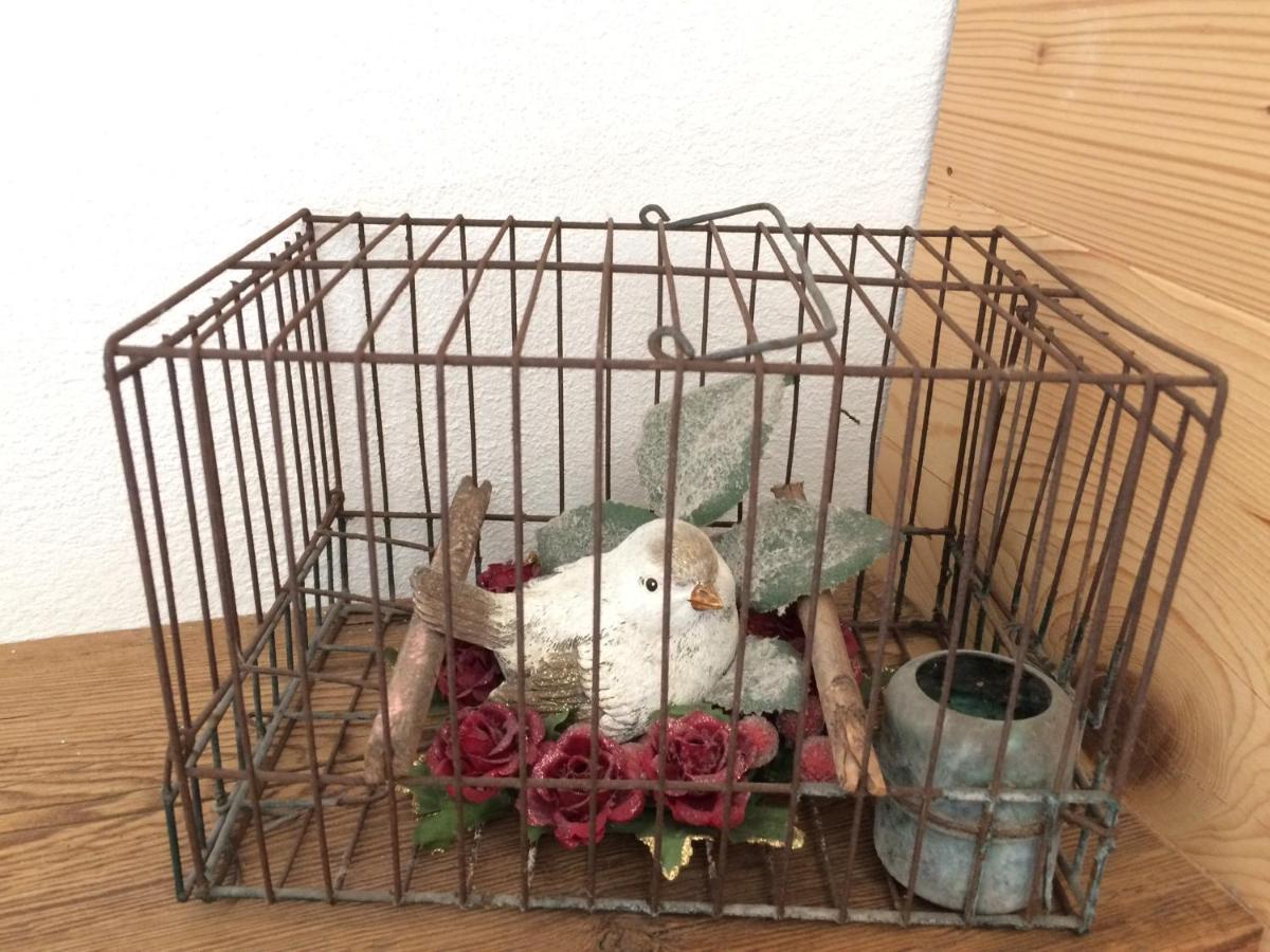 Fra Rose E Mughi * Domegge di Cadore